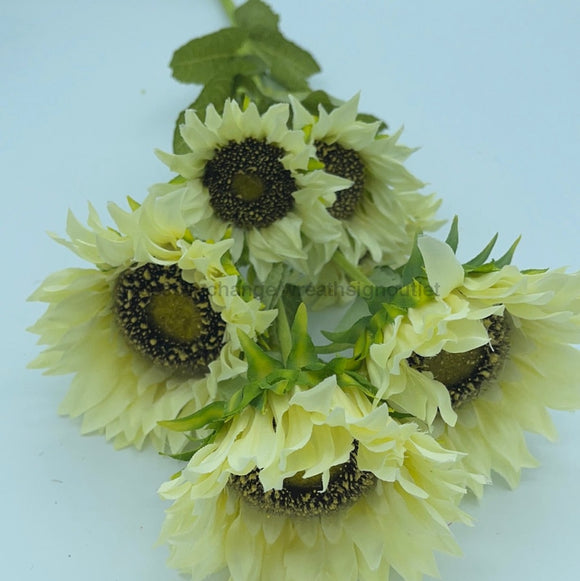 Sunflower X 6 Cream 12353 - healthypureonline