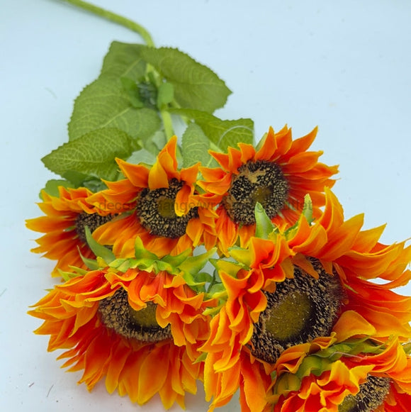 Sunflower X 6 Orange  12352 - healthypureonline